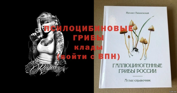 сатива Нефтекумск