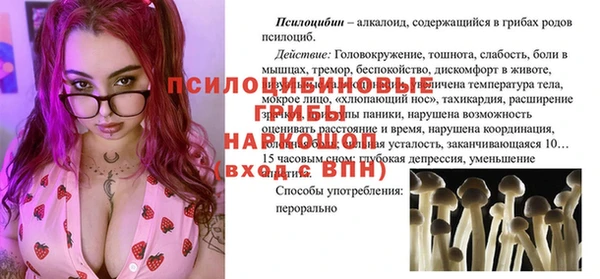 МДПВ Абинск