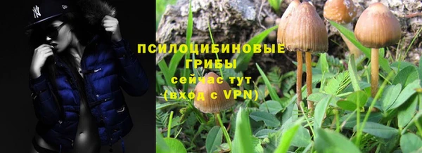 МДПВ Абинск
