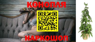 шишки Краснознаменск