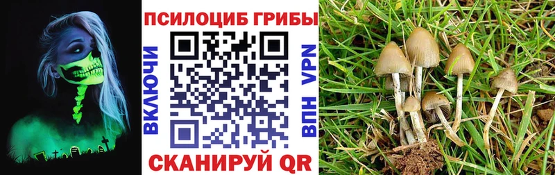 Галлюциногенные грибы мухоморы  Каменск-Уральский 