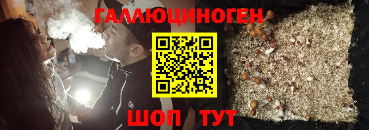 Псилоцибиновые грибы MAGIC MUSHROOMS  Вход с VPN  Каменск-Уральский 