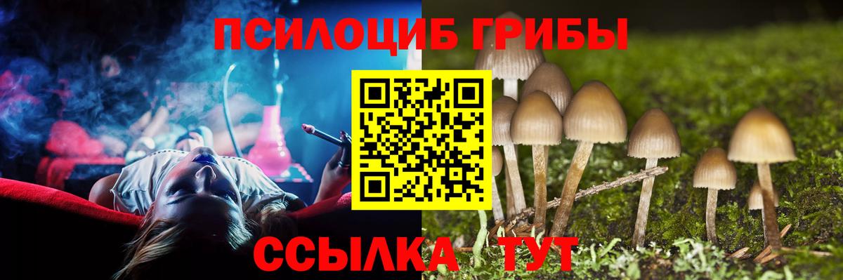 Псилоцибиновые грибы мицелий Каменск-Уральский